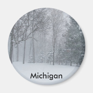 Íman Neve do inverno de Michigan MI na cena das árvore