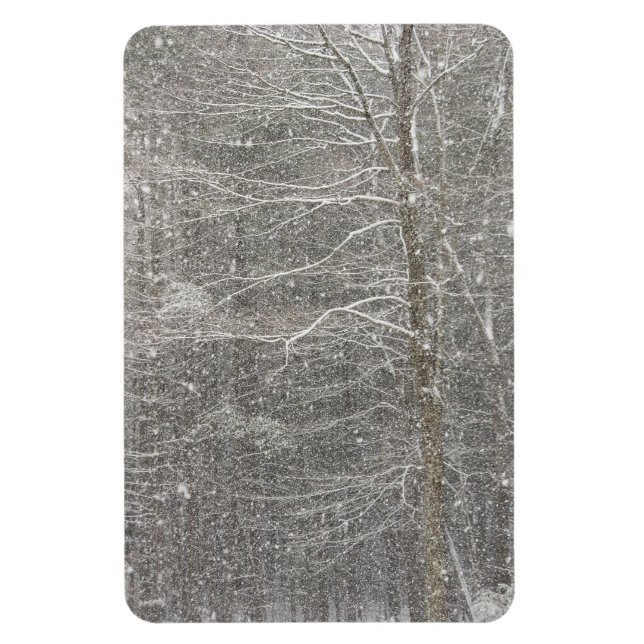 Íman Neve em queda (Vertical)