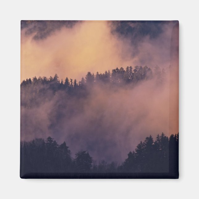 Íman Nevoeiro do inverno no vale ao pôr do sol de Morto (Frente)