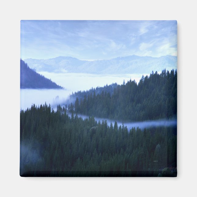 Íman Nevoeiro matinal.... (Frente)