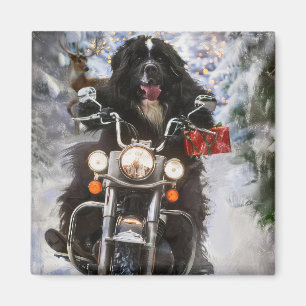 Íman Newland Dog Riding Motorcycle Christmas