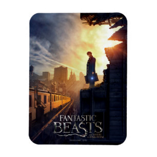 Íman NEWT SCAMANDER™ no edifício destruído