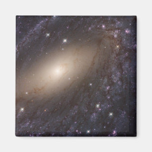 Íman Ngc 6744, 30 Milhões De Anos-Luz Longe.