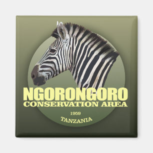 Íman Ngorongoro (zebra) WT