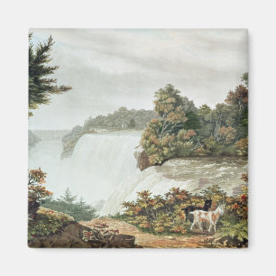 Íman Niagara Falls, da ilha da cabra