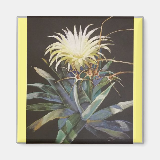 Íman ''Night Bloom'' de Bruce Tunis (Frente)