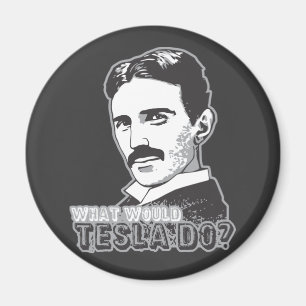 Íman Nikola Tesla