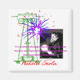 Íman Nikola Tesla