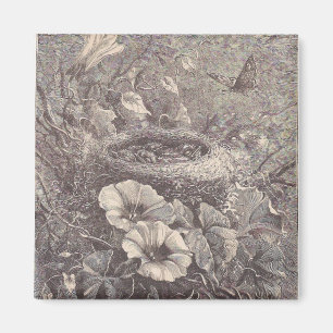 Íman Ninho, Flores e Borboleta