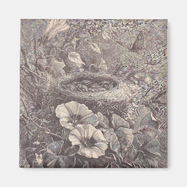 Íman Ninho, Flores e Borboleta (Frente)