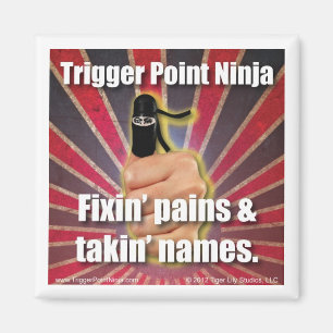 Íman Ninja ® Fixin Pains & Takin Names do ponto de dis