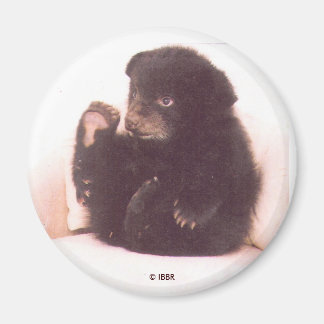Íman Nipper Magnet