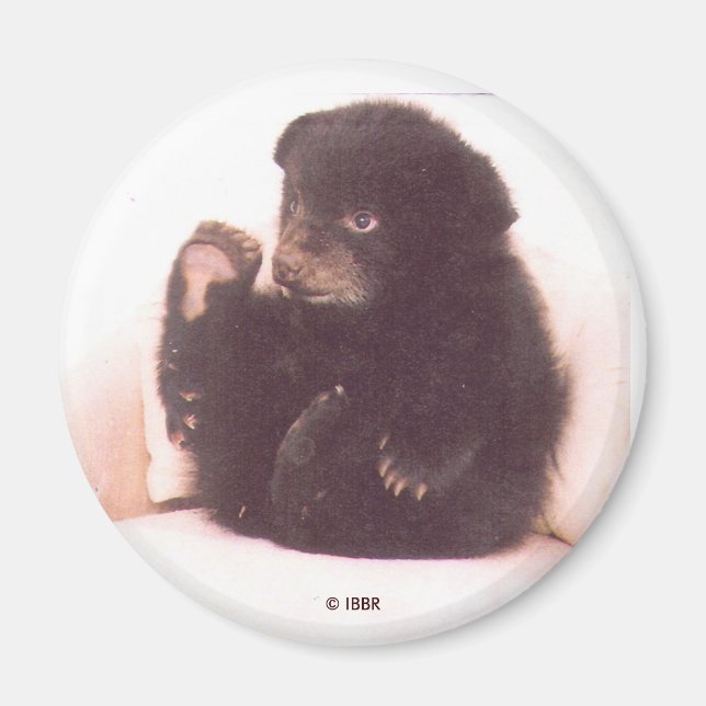 Íman Nipper Magnet (Frente)