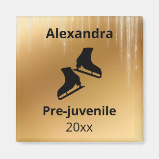 Íman Nível de patinagem do ano de ensaio dourado