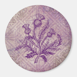 Íman Nó celta roxo do cardo escocês