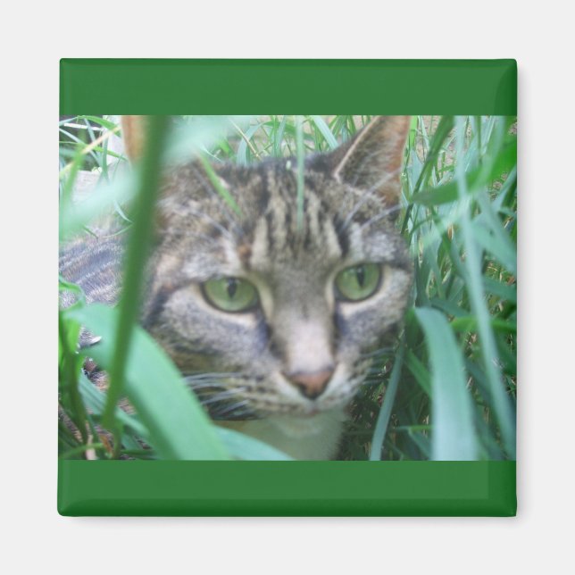 Íman No Magneta de Caça (Frente)