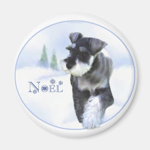 Íman Nó Schnauzer Standard