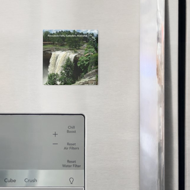 Íman Noccalula Falls, Gadsden, Alabama (In Situ (Fridge))