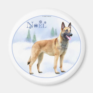 Íman Noel Belmalinois