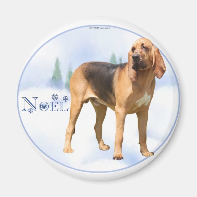 Íman Noel Bloodhound (Frente)