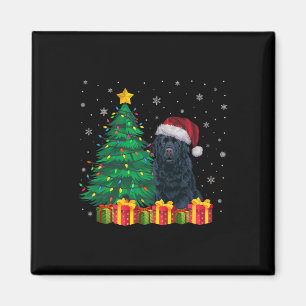 Íman Noel Hat, Terra Nova, Cão de Natal L