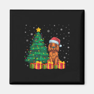 Íman Noel Noel Hat, Setter Irlandês, Cão de Natal L