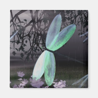 Íman Noite das Dragonflies