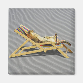 Íman Noite de Gato de Verão em Praia com Sombra