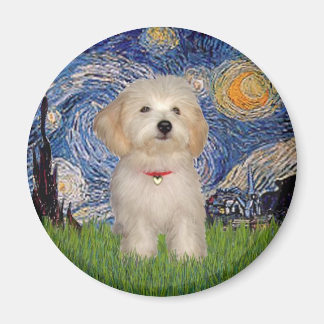 Íman Noite Estrelada - Cachorrinho Havanês (Frente)