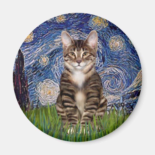 Íman Noite Estrelada - Gato Tigre Tabby 30 (Frente)