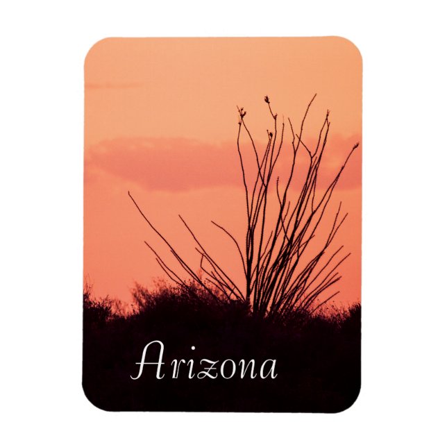 Íman noites de deserto na Arizona (Vertical)