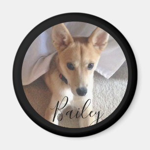 Íman Nome da Fotografia de Pet de Cachorro Personalizad
