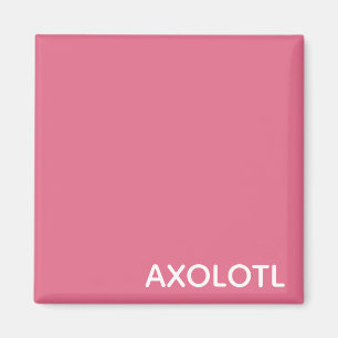 Íman Nome de cor rosa Axolotl