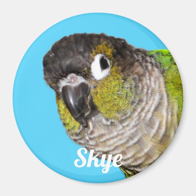 Íman Nome de Foto de Ave de Estimação Personalizada (Frente)
