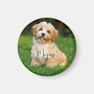 Íman Nome de Foto Pet Personalizado
