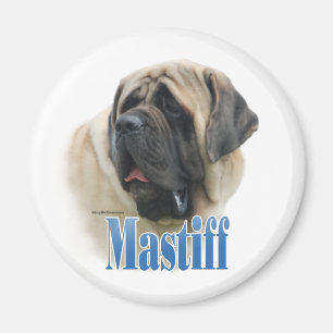 Íman Nome do Mastiff do Fawn - Magnet