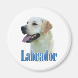 Íman Nome do Retriever do Labrador Amarelo - Magnet