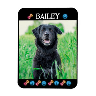 Íman Nome e Foto Simples Moderno de Pet
