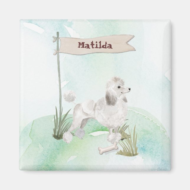 Íman Nome Personalizado Cão Pet Pet White Poodle (Frente)