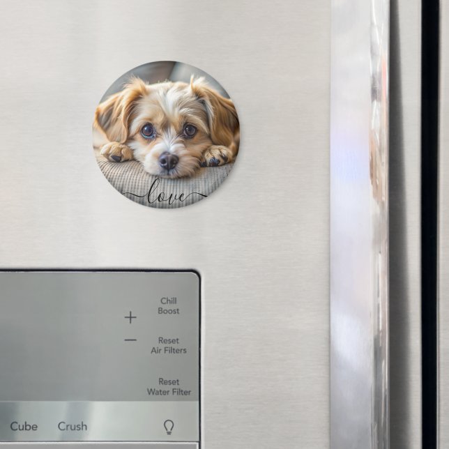 Íman Nome personalizado de manutenção do amante do cão  (In Situ (Fridge))
