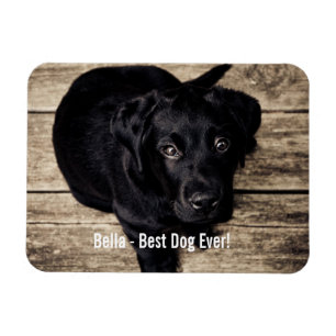 Íman Nome preto personalizado da foto do cão do