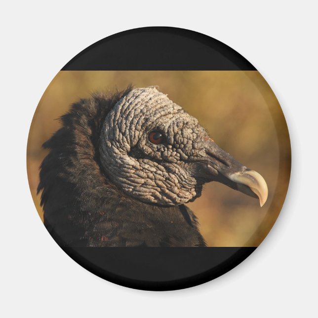 Íman Nooks & Crannies (Frente)