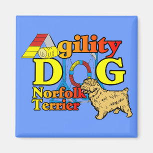 Íman Norfolk_Terrier_Agility