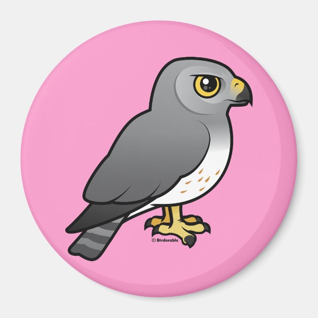 Íman Norte Harrier masculino (Frente)