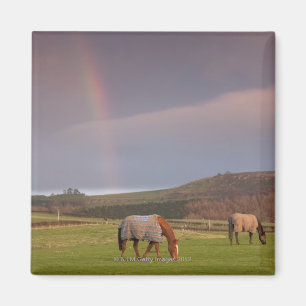 Íman Northumberland, Inglaterra