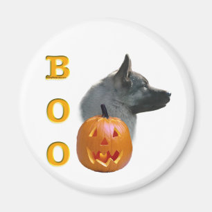 Íman Norueguês Elkhound Boo
