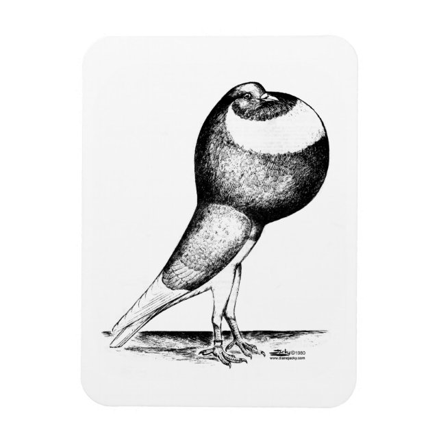 Íman Norwich Cropper 1980 (Vertical)