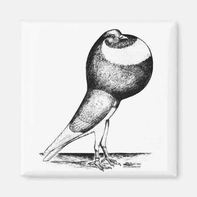 Íman Norwich Cropper 1980 (Frente)