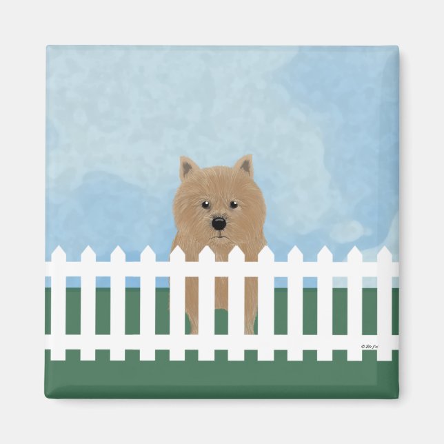 Íman Norwich Terrier Magnet (Frente)