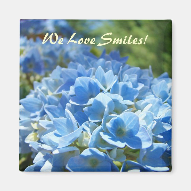 Íman Nós Amamos Sorrisos! ímãs Flores de Hortênsia Azul (Frente)